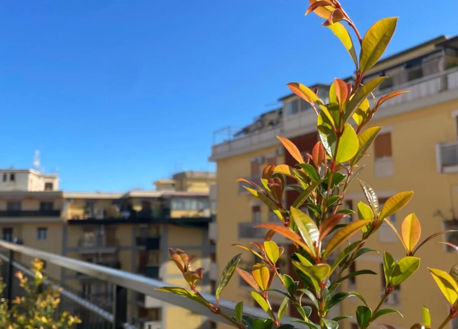 팔레르모 Terrazza L Emiro Casa Vacanze 아파트